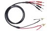 acc_8